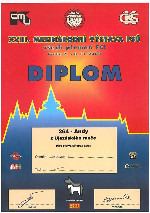 diplom.jpg